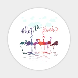 Colorful Flamingos   What the Flock Magnet